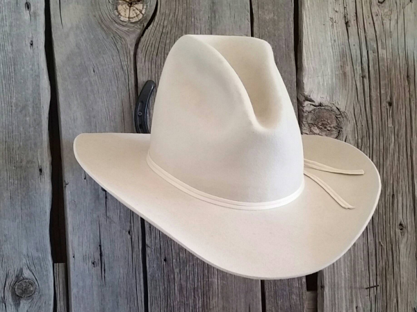 Horseshoe Cowboy Hat Rack (New Horseshoe)