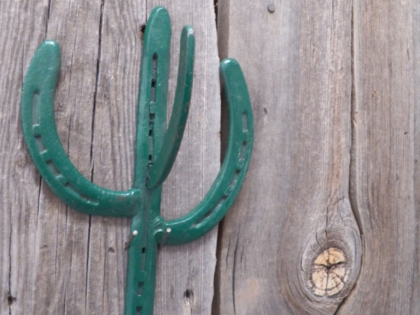 Horseshoe  Cactus Coat Hook