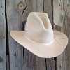 Horseshoe Cowboy Hat Rack (New Horseshoe)