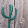 Horseshoe  Cactus Coat Hook