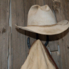 Horseshoe Cactus Hat Rack Coat Hook Combination