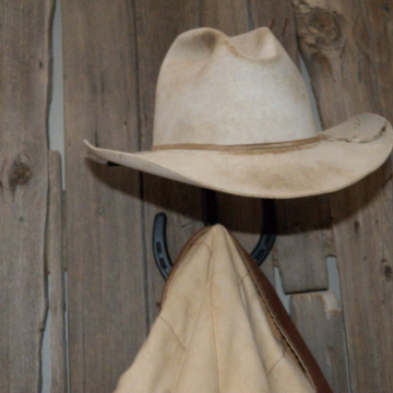 Horseshoe Cactus Hat Rack Coat Hook Combination