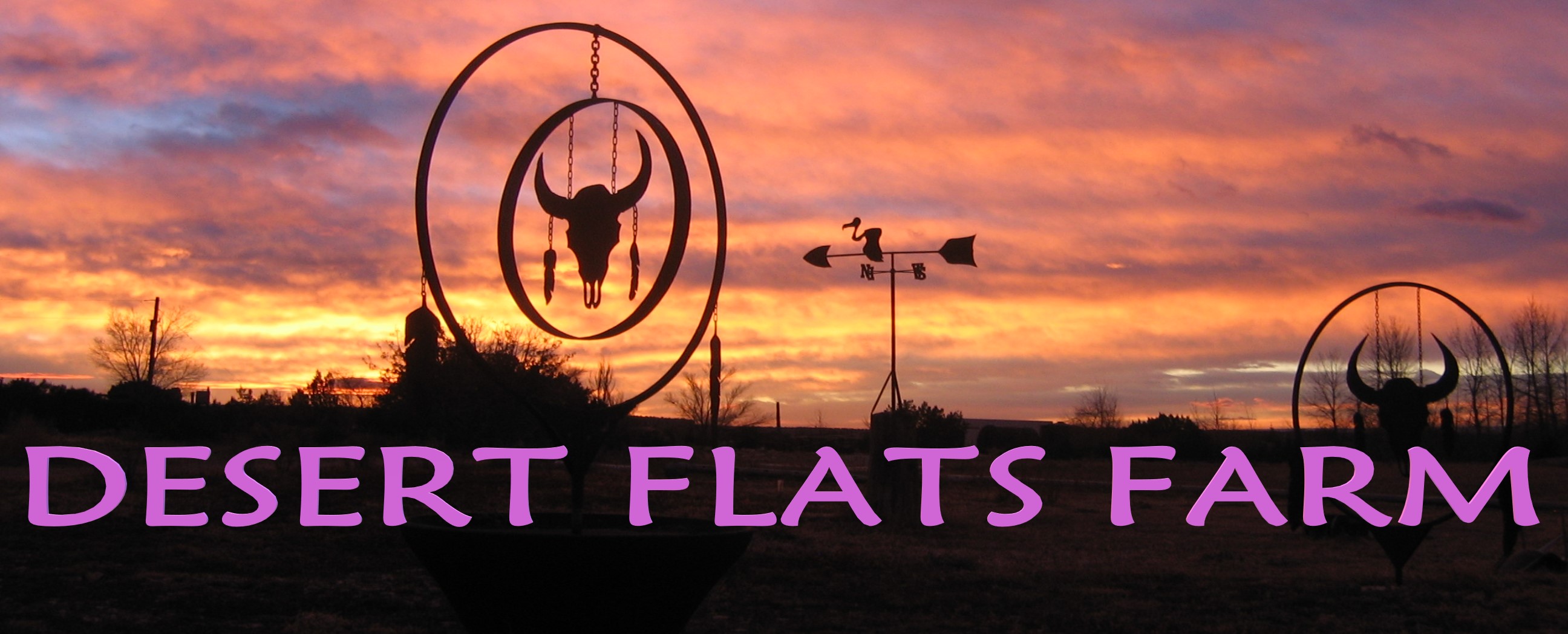 Desert Flats Farm Banner