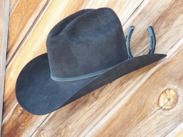 Cowboy Horseshoe Hat Rack black