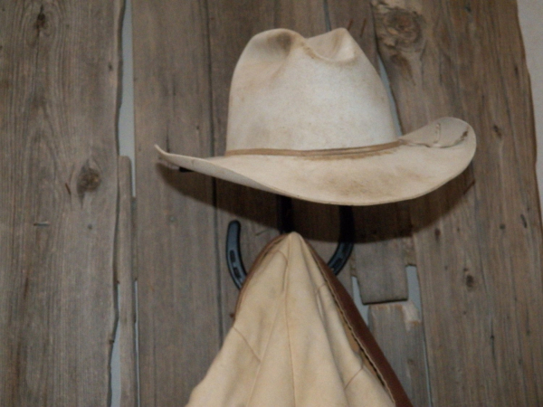 Horseshoe Cactus Hat Rack Coat Hook Combination