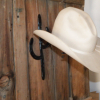 Horseshoe Cactus Cowboy Hat Rack