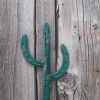 Horseshoe  Cactus Coat Hook