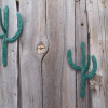 Horseshoe  Cactus Coat Hook