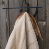 Horseshoe Cactus Hat Rack Coat Hook Combination