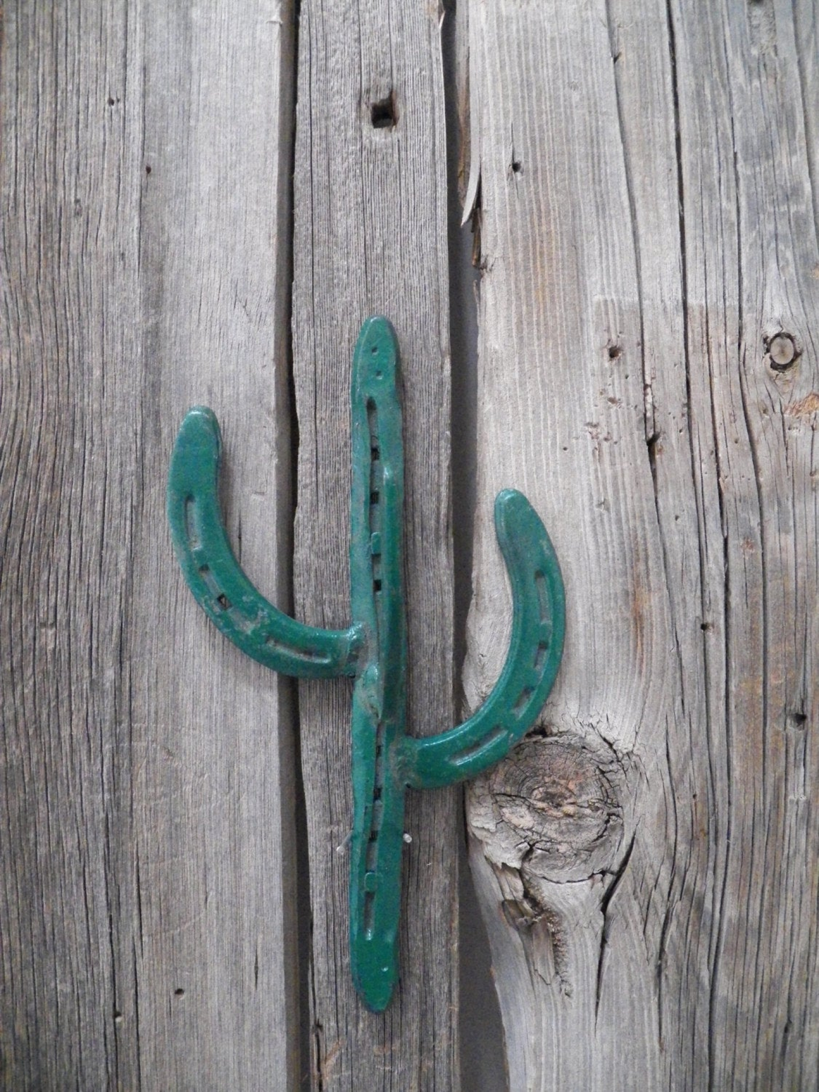 Horseshoe Art Bridle Hook