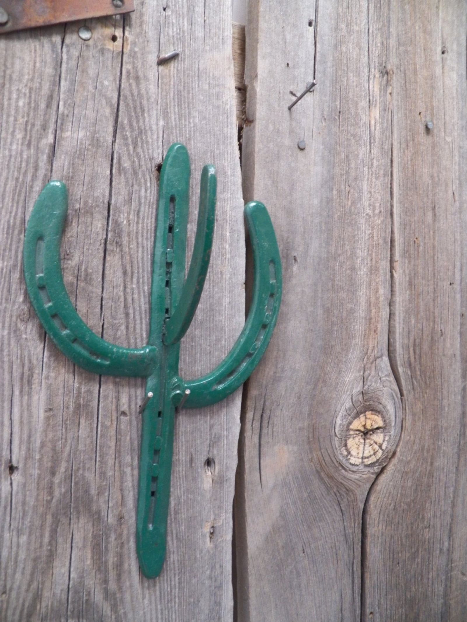 Horseshoe Cactus Coat Hook